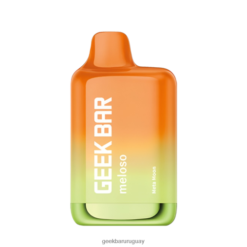 Geek Bar Meloso vaporizador desechable máximo - Geek Bar Discount VN8V0128 metaluna