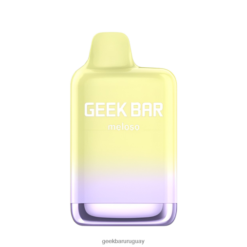 Geek Bar Meloso vaporizador desechable máximo - Geek Bar Puffs VN8V0134 hielo de melón fuji