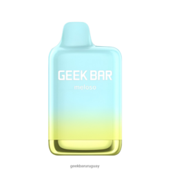 Geek Bar Meloso vaporizador desechable máximo - Geek Bar Puffs VN8V0144 explosión del arco iris tropical