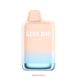 Geek Bar Meloso vaporizador desechable máximo - Geek Bar Sabores VN8V0135 refresco de gengibre