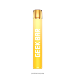Geek Bar vaporizador desechable e600 - Geek Bar Store VN8V0199 melón fuji