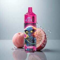 JNR Alien 10000 Durazno Mango Piña 850mAh Tipo-C