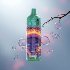 JNR Alien 10000 Paleta de Hielo 850mAh 20ml