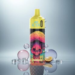 JNR Alien 10000 Piña Hielo 850mAh 20ml