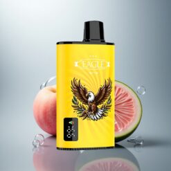 JNR EAGLE Smart 23000 Agua de Melocotón Mango Sandía con 25ml y 750mAh