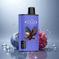 JNR EAGLE Smart 23000 Arándano Frambuesa Cereza Pantalla Digital 750mAh