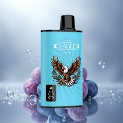 JNR EAGLE Smart 23000 Arándano Helado con Pantalla Digital y 750mAh