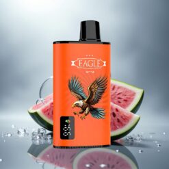 JNR EAGLE Smart 23000 Sandía Hielo con Pantalla Digital y 750mAh