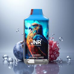 JNR Falcon 16000 Arándano Frambuesa Cereza con 22ml y 850 mAh