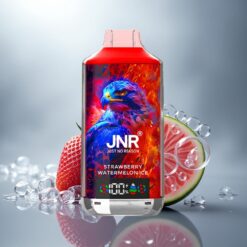 JNR Falcon X 18000 Fresa Sandía Hielo 750mAh Dual Mesh