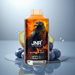 JNR Falcon X 18000 Kiwi Arándano Digital 750mAh Tipo-C Dual Mesh