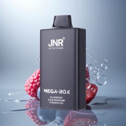 JNR Mega Box 25000 Arándano Agrio Frambuesa Fresa 30ml 850mAh 2% Nicotina