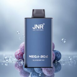 JNR Mega Box 25000 Helado de Arándano con 850mAh y 2% Nicotina