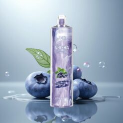 JNR Shisha Hookah 12000 Menta Arándano 24ml 0.6 Ohm
